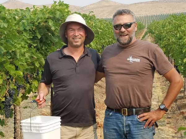 Sampling Gilles Tedd Wildman Stone Tree